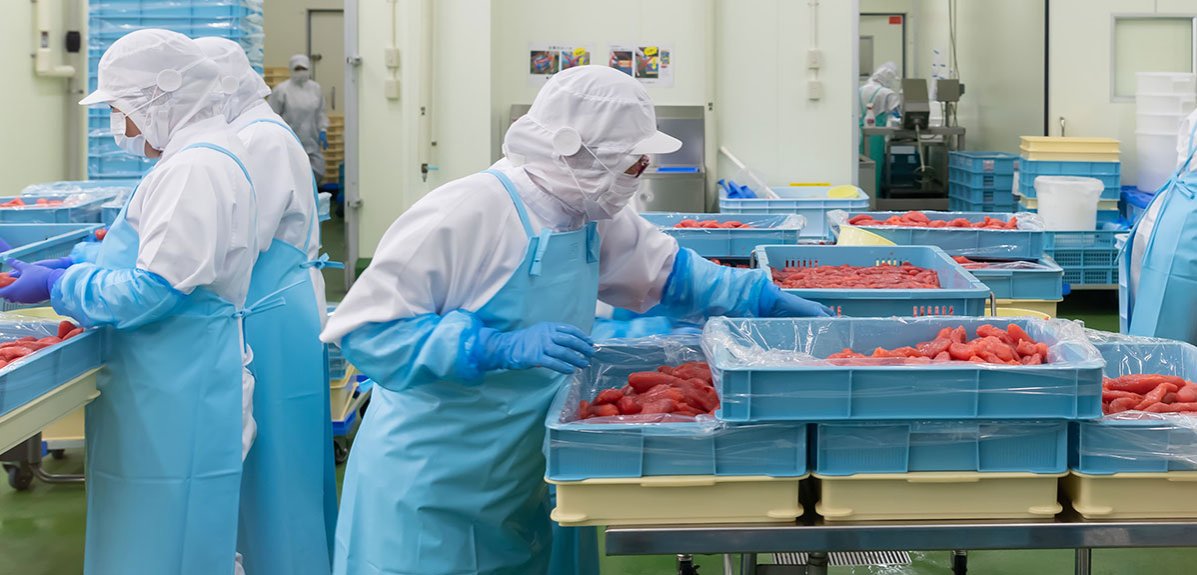 異物混入対策とは？食品工場・製造現場の事例と原因を解説│食品工場